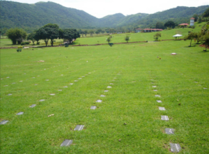 Coroa de Flores Cemitério São Sebastião (Suzano/SP)